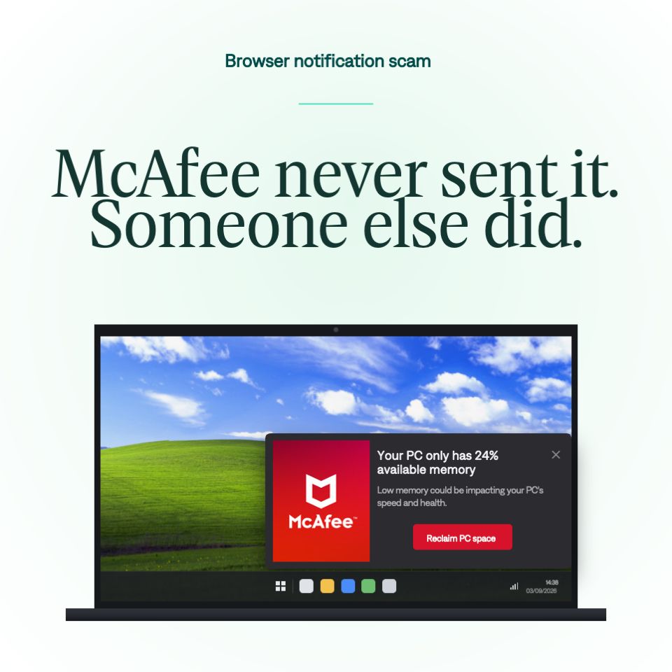 Attached image 1