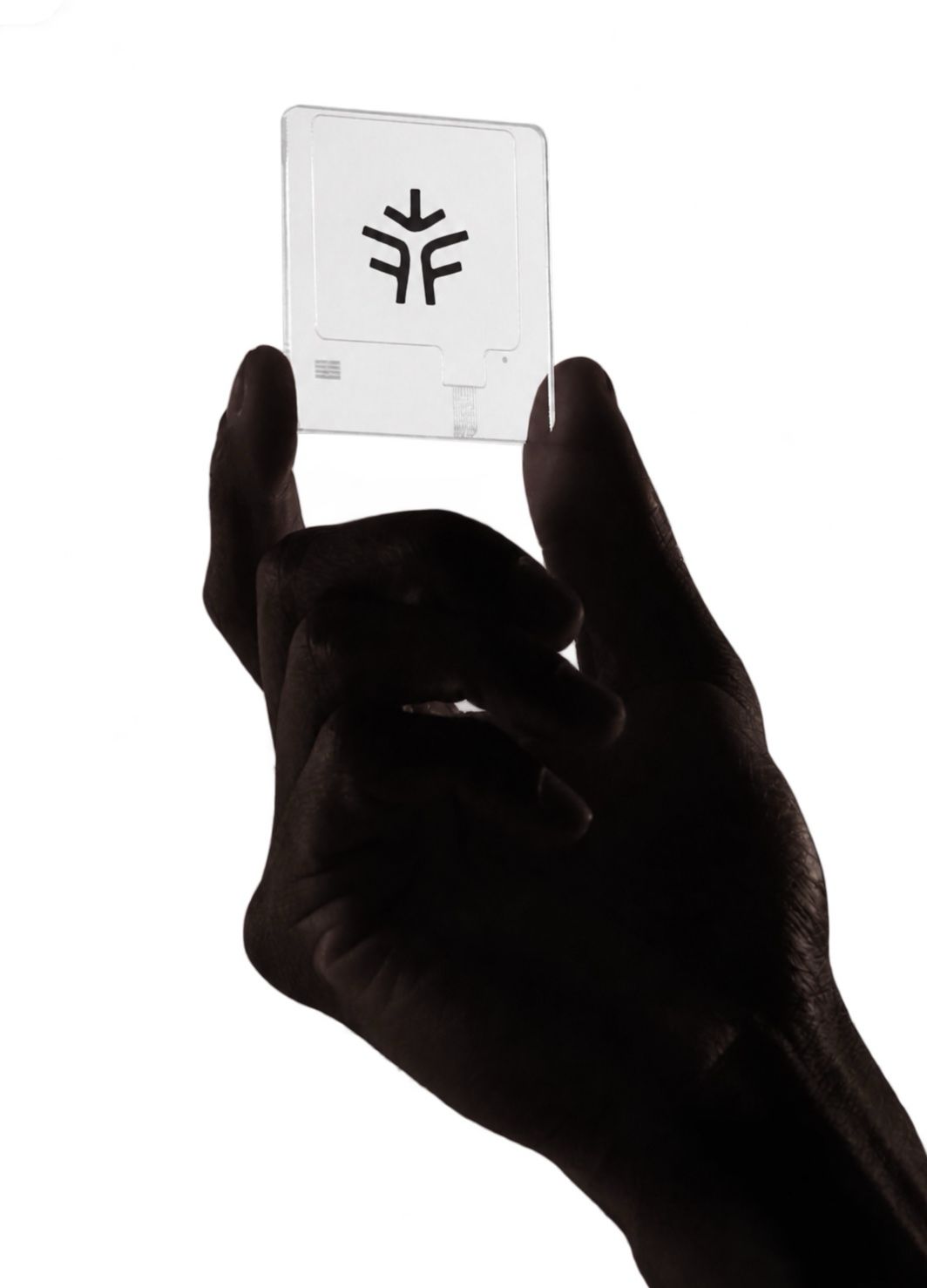 Attached image 1