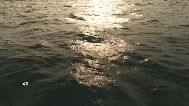 Attached image 1