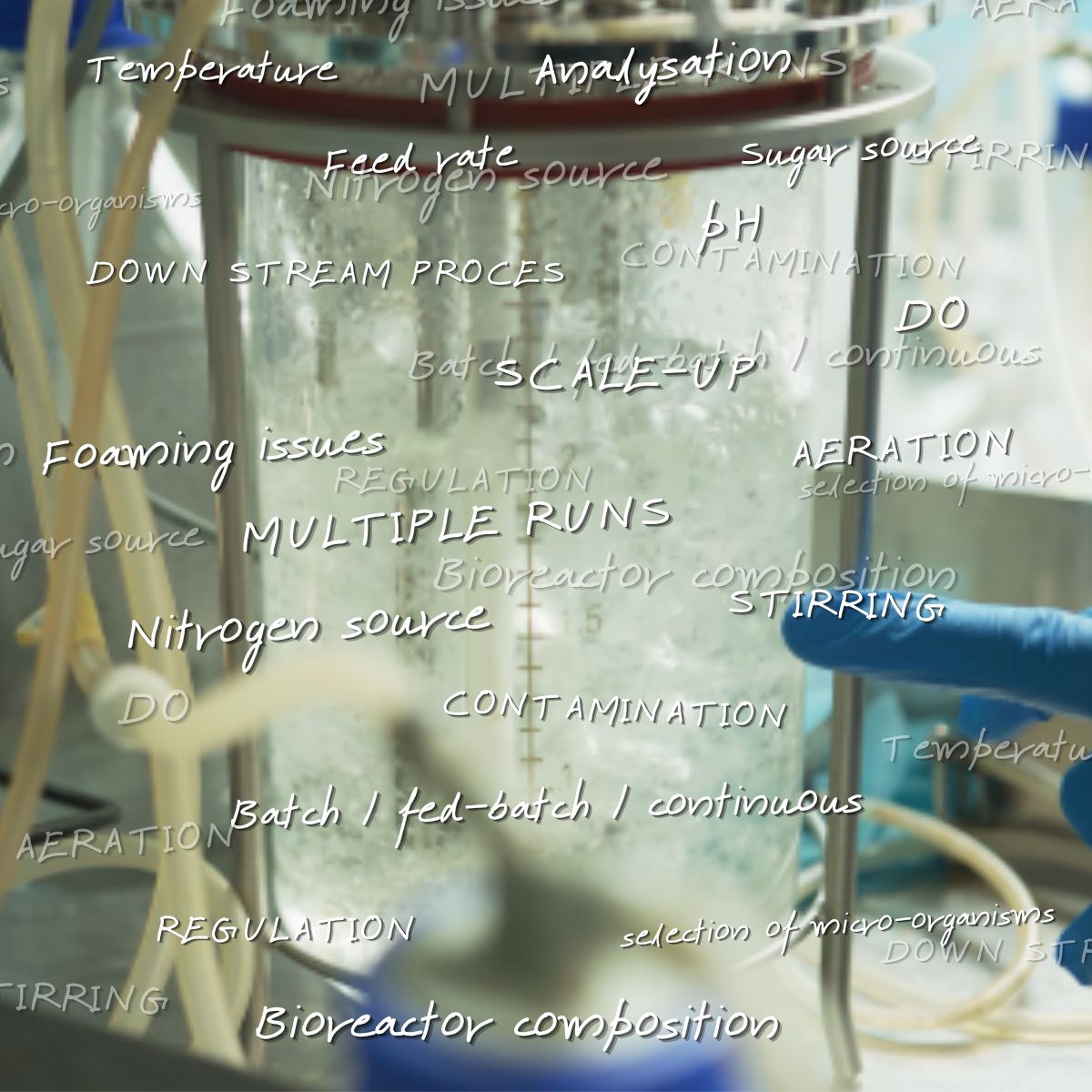 Attached image 1