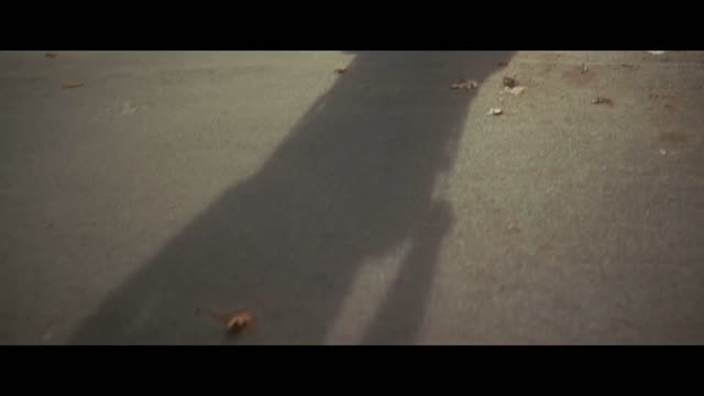 Attached image 1