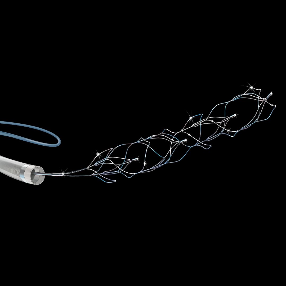 Attached image 1