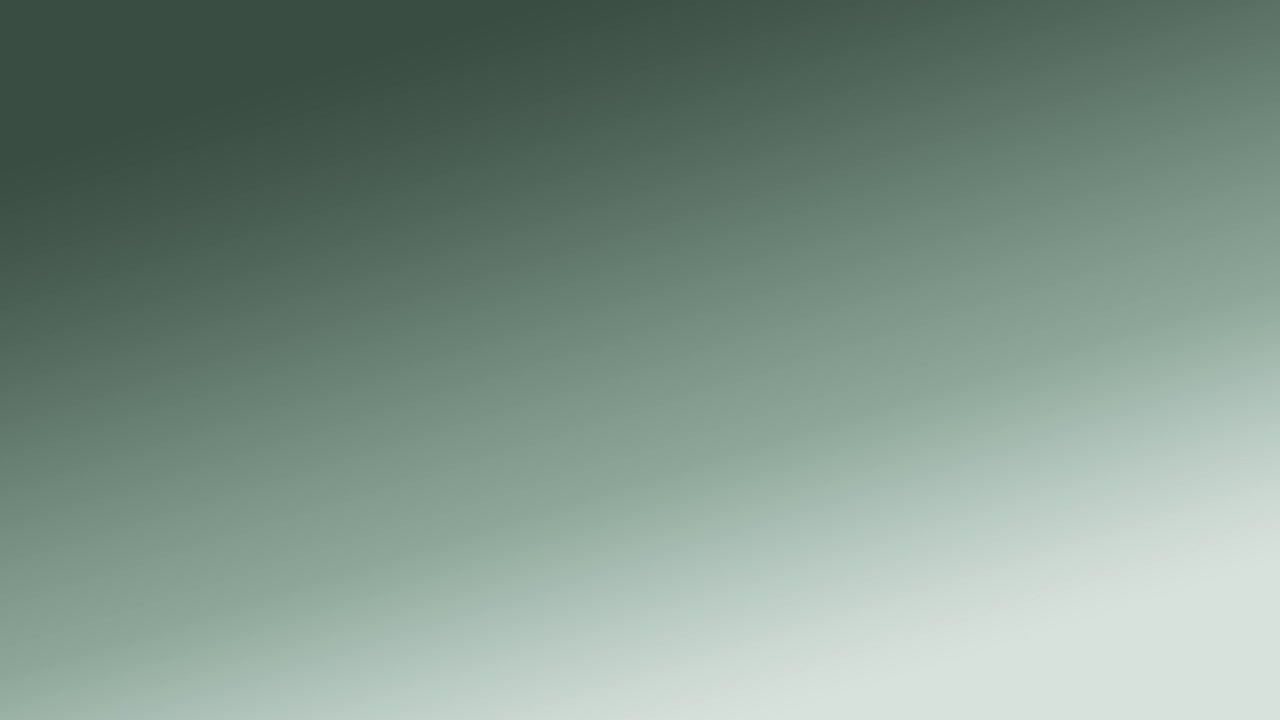 Attached image 1